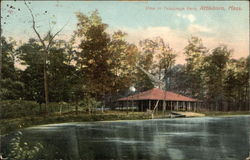 View in Talaquega Park Postcard