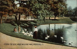 Feeding the Geese - Roger Williams Park Postcard