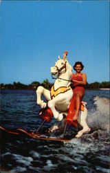 Sunshine Springs and Gardens - Water-Skiing Horse Postcard