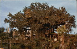 Walt Disney World - Swiss Family Island Treehouse Postcard Postcard