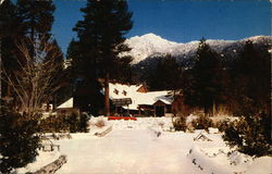 View of Idyllwild Inn California Postcard Postcard