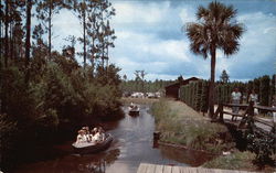 Okefenokee Swamp Park Waycross, GA Postcard Postcard