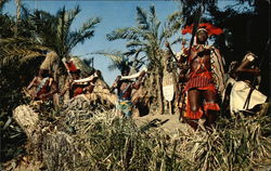 Disneyland - Jungle Drums Beat - Natives Chant Postcard Postcard