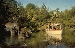 Disneyland - Elephant Bathing Pool Postcard