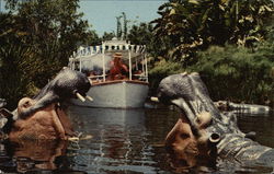 Jungle Cruise Anaheim, CA Disney Postcard Postcard