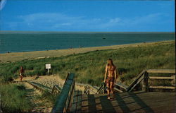 Race Point Beach - National Seashore Provincetown, MA Postcard Postcard