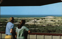 View of Dunes and Atlantic Ocean from Observation Deck Provincetown, MA Postcard Postcard