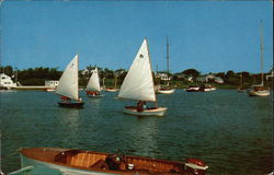 Sailboats, Wychmere Harbor Postcard