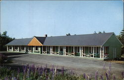 Ocean Drive MOtor Court Motel and Cottages Postcard