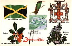 Facts About Jamaica Postcard