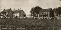 One of the Many Herds, Hershey Chocolate Co Pennsylvania Postcard Postcard