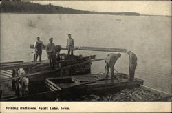 Seining Buffaloes Spirit Lake, IA Postcard Postcard