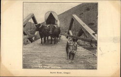 Ox-Drawn Wagon on Bridge Burnt RIver, OR Postcard Postcard