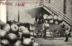 Marketing a Good Crop of Apple, Prairie Farm Postcard