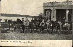 Ponies at Lake Harriet Postcard