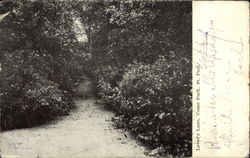 Lover's Lane, Como Park Postcard