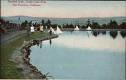 Spreckels Lake at Golden Gate Park Postcard