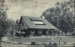 A Cozy Home and Lawn Tucson, AZ Postcard Postcard