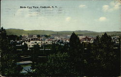 Bird's Eye View of Town Endicott, NY Postcard Postcard