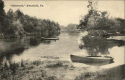 View of "Oakwood" Postcard