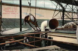 Loading a Mull Aboard U.S. Army Transport Newport News, VA Postcard Postcard