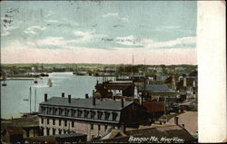 River View Bangor, ME Postcard Postcard