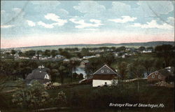 Birdseye View of Town Postcard