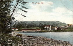 The Forks Postcard