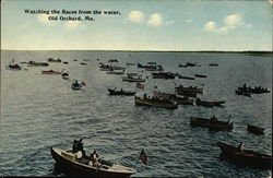 Watching the Races from the Water Postcard