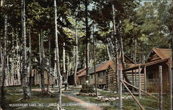 Greenleaf's Camps on Sugar Island Postcard