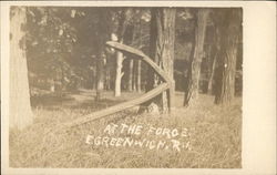 At the Forge - Wooded Area Postcard