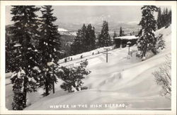 Winter in the High Sierras Postcard