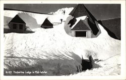 Timberline Lodge in Mid-Winter Skiing Postcard Postcard