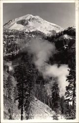 Steam Vents and Mt Lassen Postcard