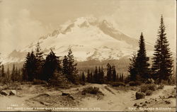 Mt. Hood Loop From Government Camp, Alt. 11,225 California Postcard Postcard