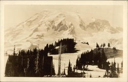 Mount Rainier Postcard