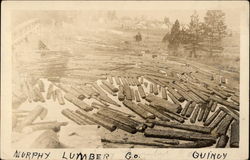 Murphy Lumber Co. Quincy Logging Postcard Postcard