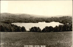 Horn Pond Postcard