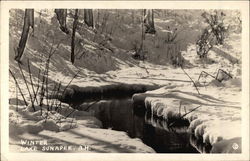 Winter View of Lake Sunapee Area Postcard