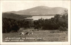 Scenic View of Mt. Kearsarge and Pleasant Lake Postcard