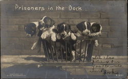 Prisoners in the Dock Dogs Postcard Postcard