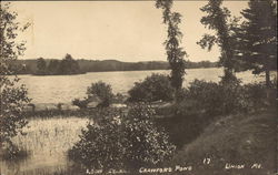 Loon Island at Crawford Pond Union, ME Postcard Postcard