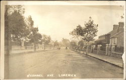 View of O'Connel Avenue Limerick, Ireland Postcard Postcard