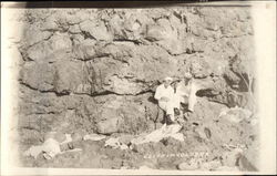 Sailors at Cliff in Culebra, PR Navy Postcard Postcard