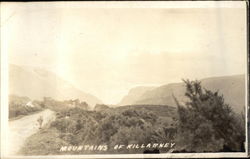 Mountains Killarney Ireland Postcard Postcard