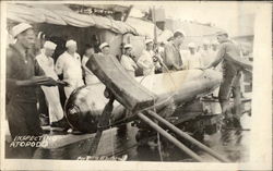 Inspecting A Torpedo Postcard