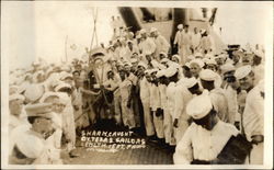 Shark Caught by U.S.S. Texas Sailors Navy Postcard Postcard