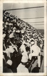 Sailors in the Grand Stand Navy Postcard Postcard