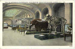 Hall Of Vertebrate Paleontology Postcard