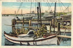 Sponge Fishing Boat At Municipal Pier St. Petersburg, FL Postcard Postcard